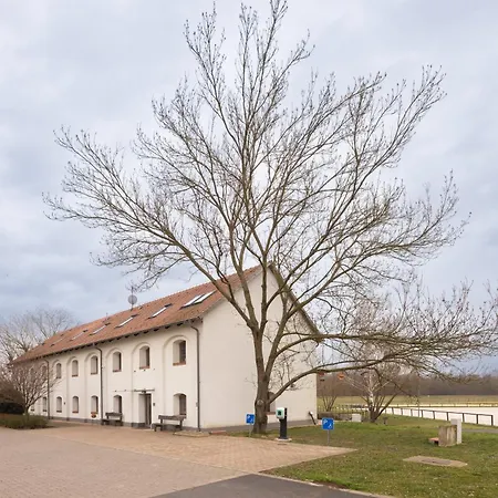 Vadkert Major Hotel Sarvar Exterior photo