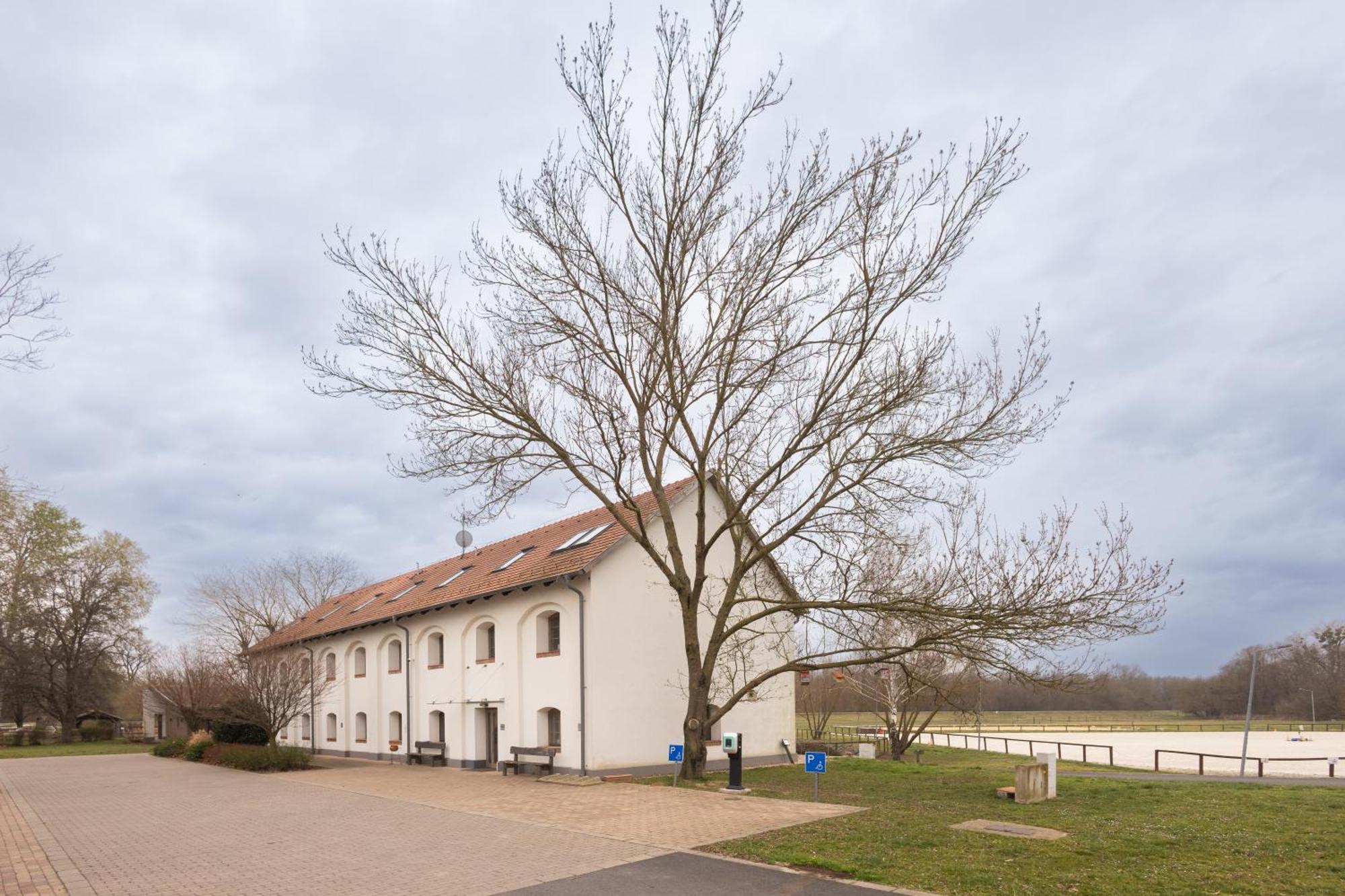 Vadkert Major Hotel