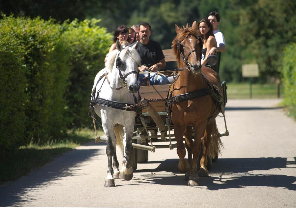 Vadkert Major 3* Sárvár